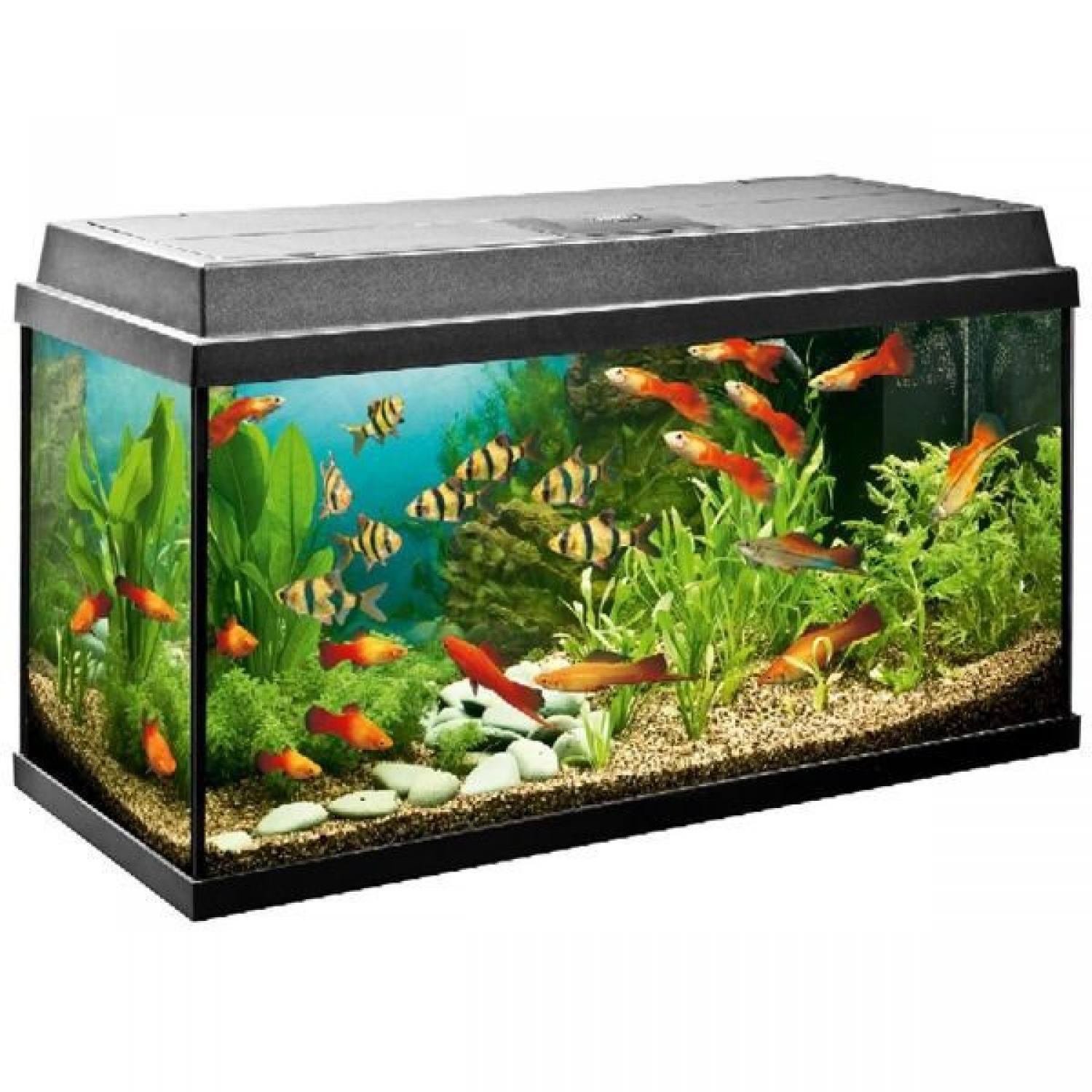 JUWEL Aquarium - 89006 Tray For All Juwel Automatic Feeders